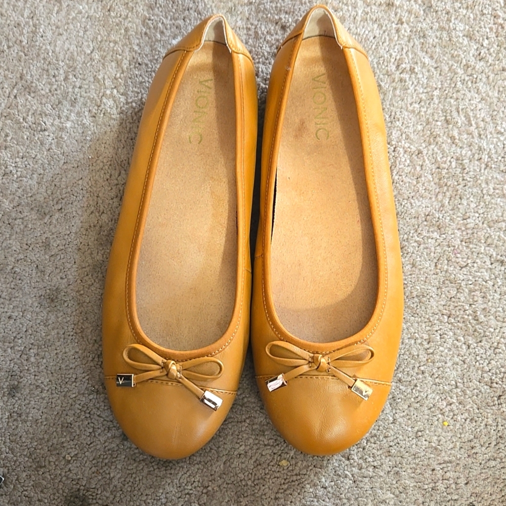 Gently Worn Ballet Flats